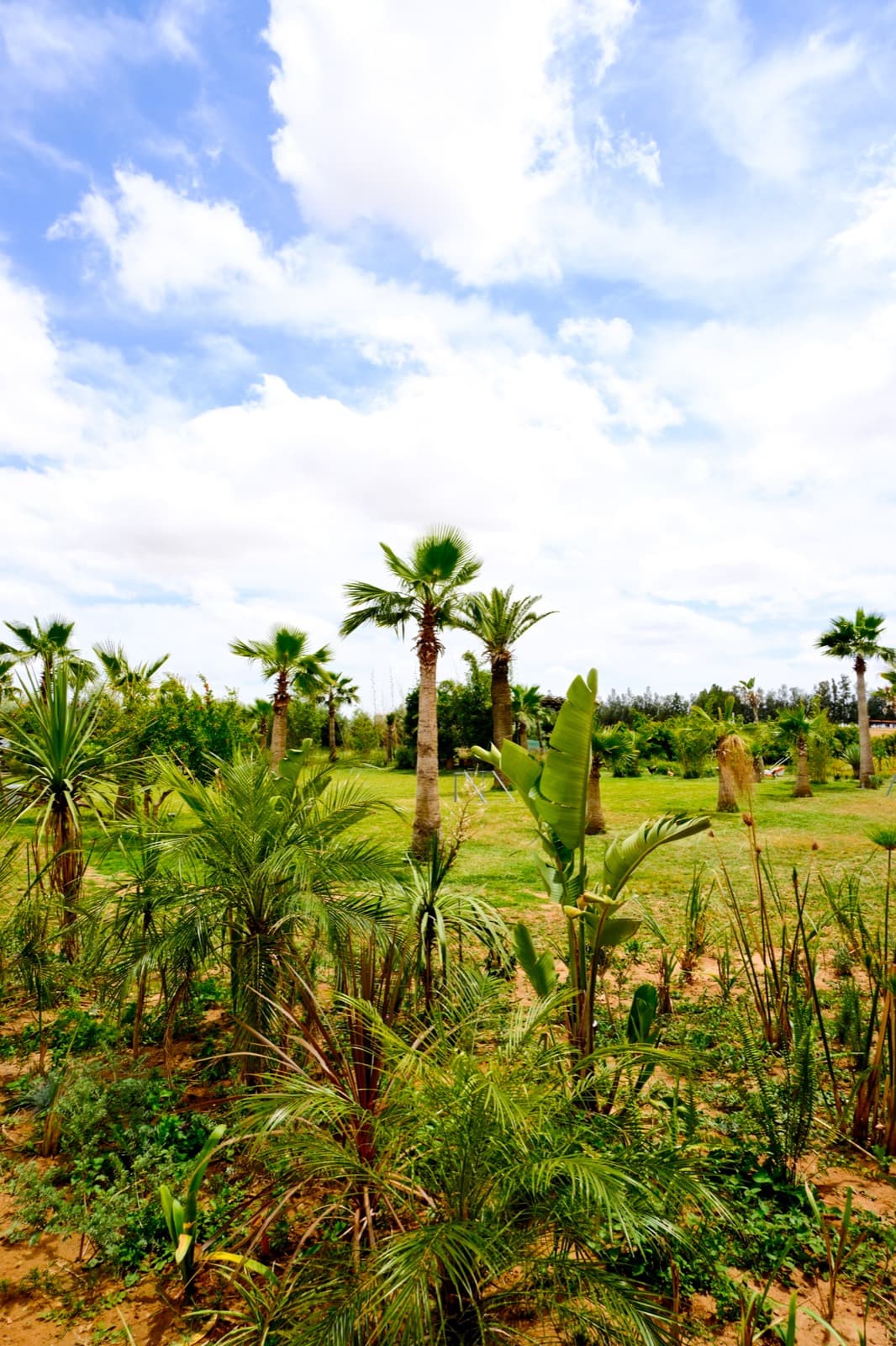 Que faire autour de Rabat pour une escapade nature le temps d'un week-end