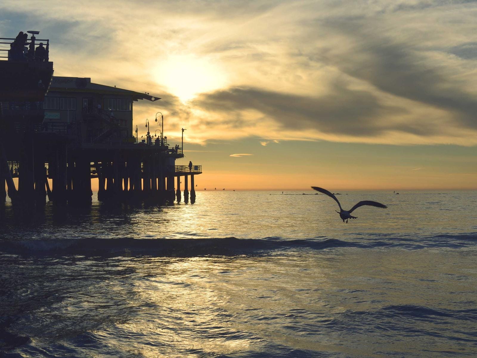 Anniversaire & fêtes